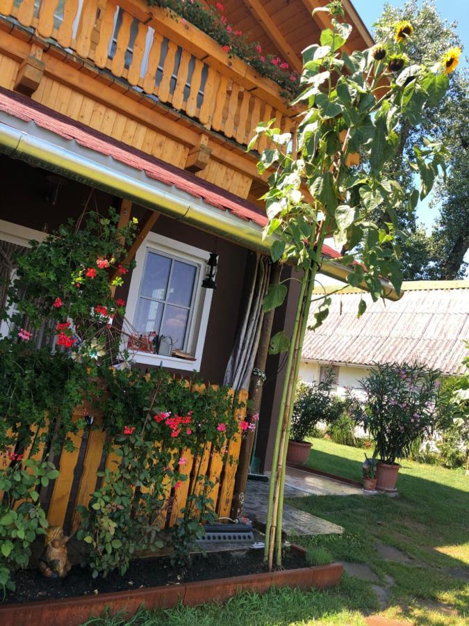 Hero 4 Sterne Ferienhaus Baja Exteriör bild