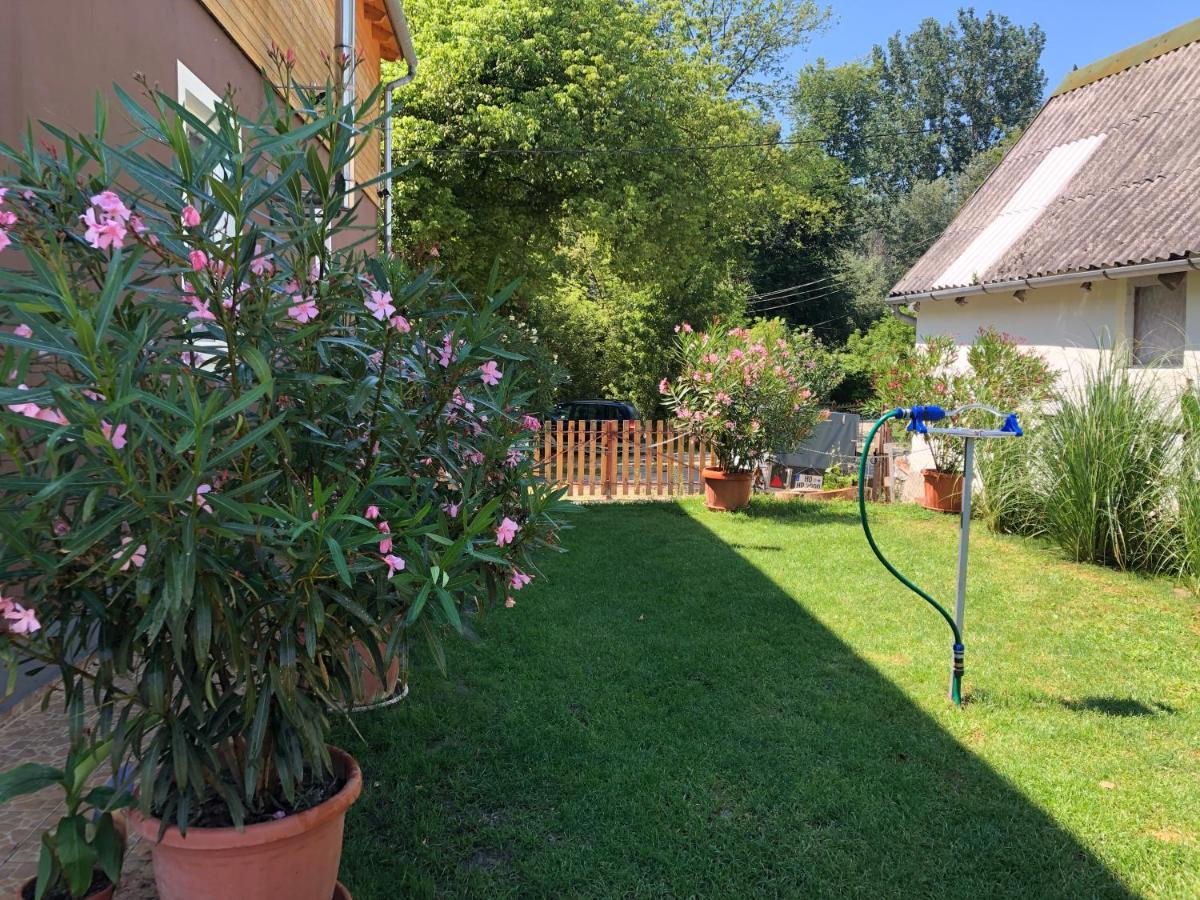 Hero 4 Sterne Ferienhaus Baja Exteriör bild